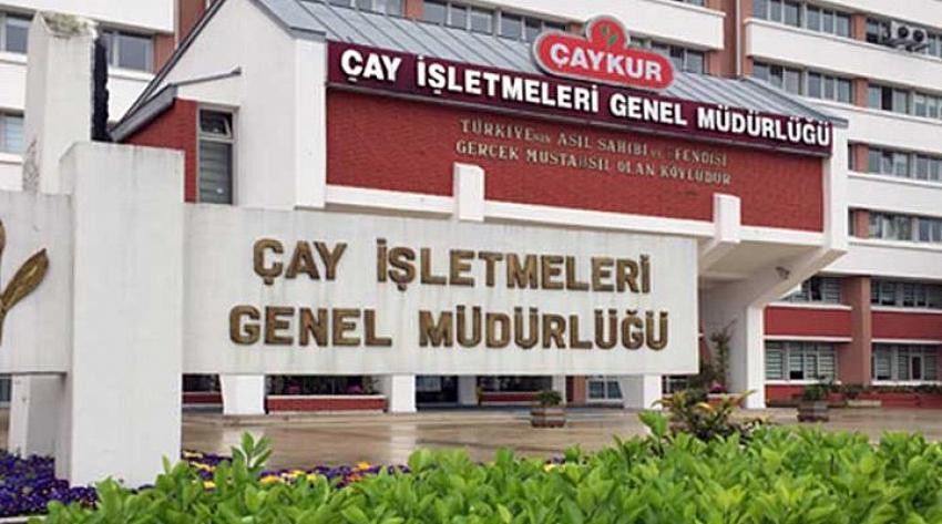 ÇAYKUR 1000’E YAKIN MEVSİMLİK İŞÇİ ALACAK