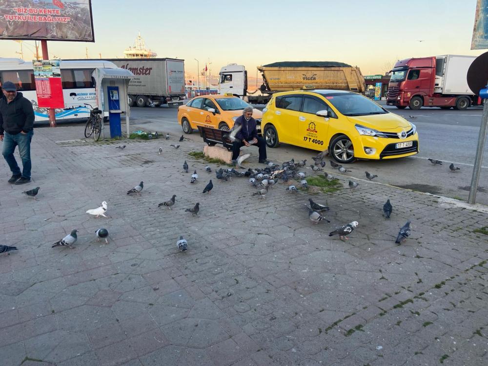 GELİBOLU’DA TAKSİ DURAĞININ MÜDAVİMLERİ OLAN GÜVERCİNLER İMECE USULÜYLE BESLENİYOR