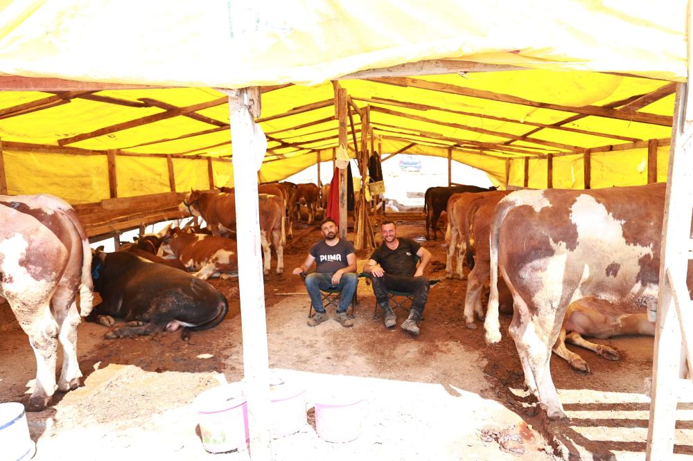 Gebze’de Kurban Satış Alanı Hazır