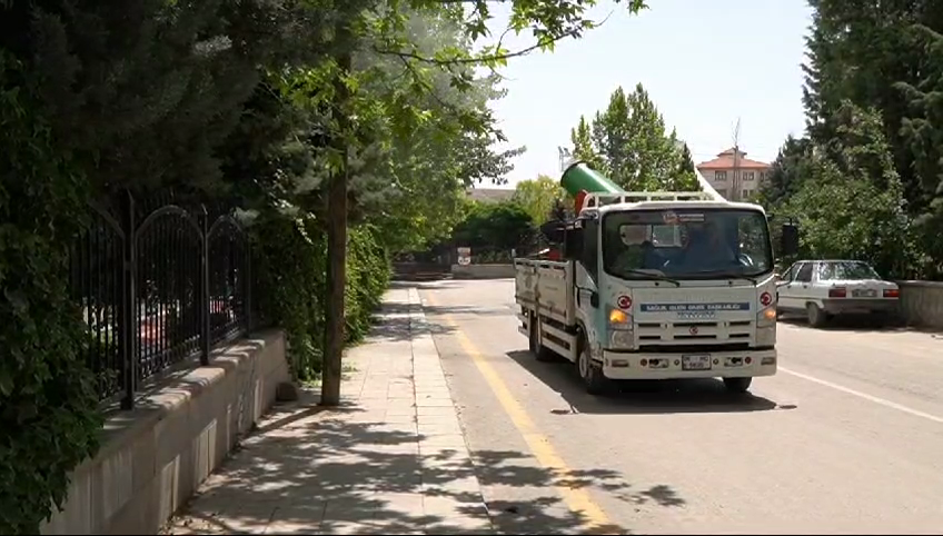 BAŞKENTİN BEYPAZARI İLÇESİNDE HAŞERELERLE MÜCADELE YENİDEN BAŞLATILDI